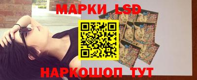 сатива Краснознаменск