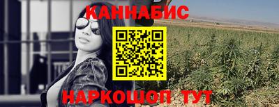 сатива Краснознаменск