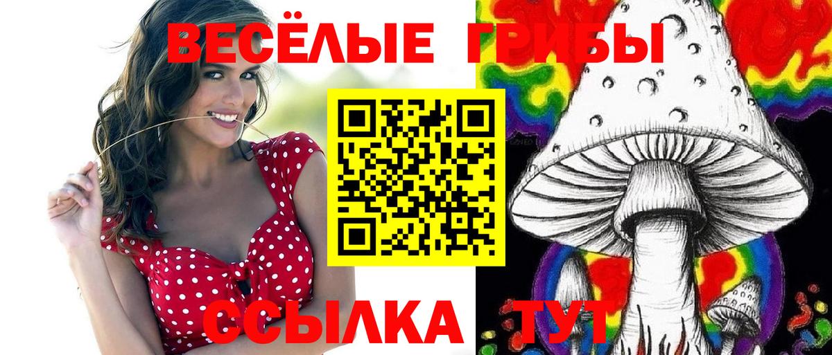 Еманжелинск  Псилоцибиновые грибы Cubensis  Псилоцибиновые грибы мухоморы  Вход с VPN 